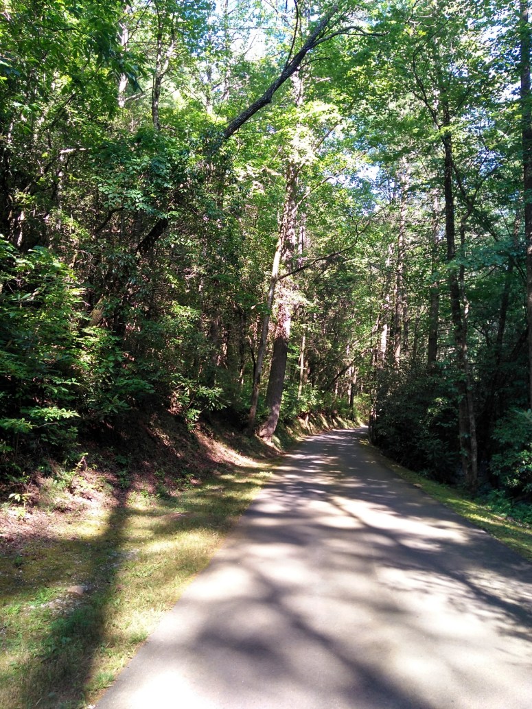 IMG_20180728_172752044_HDR